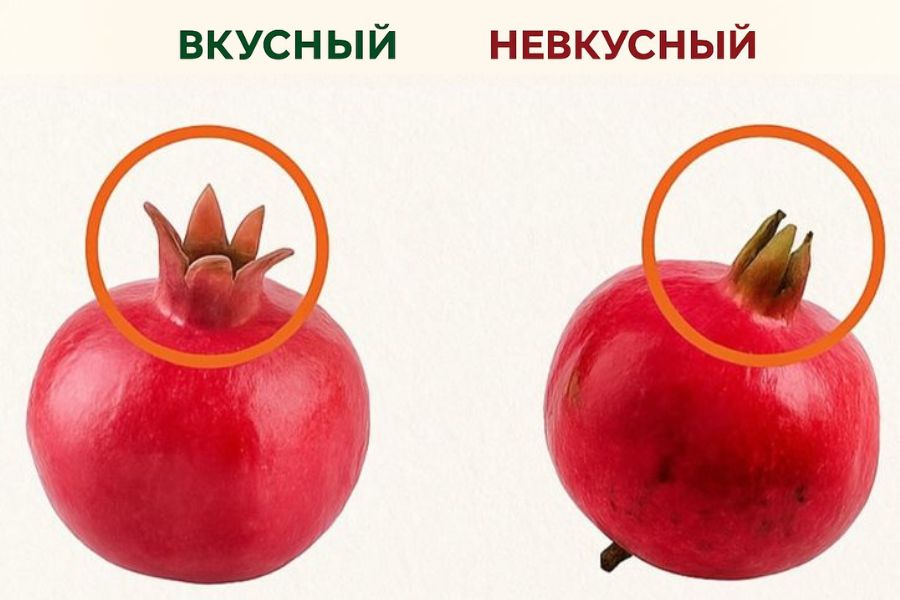 гранат турция