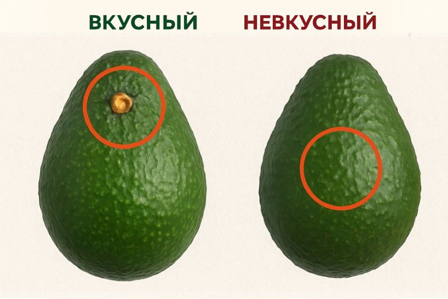 авокадо турция