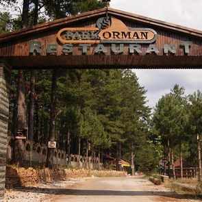 Park Orman Alanya: Family Day in Nature & Pine Forest