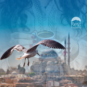 Permanent Residence Permit in Turkey