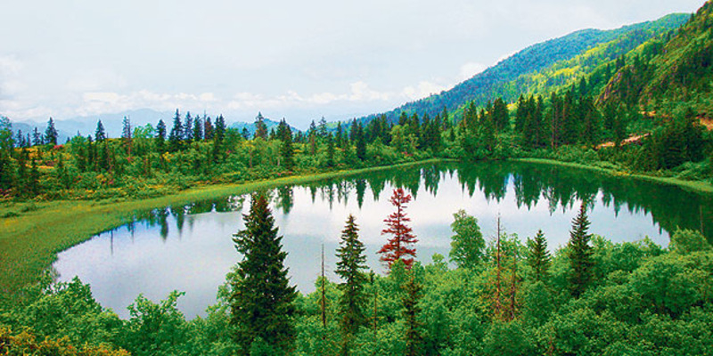 Türkiye May Allow Tourist Leases in National Parks for Up to 99 Years