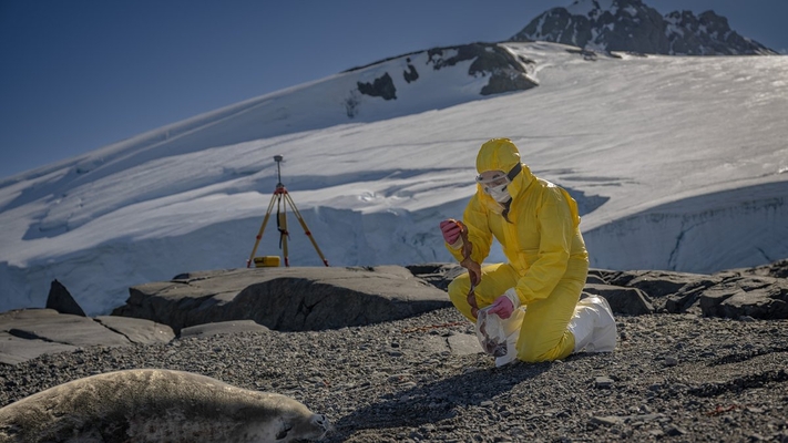 Turkish Scientists Explore Antarctic Algae and Microbes for New Antiviral Solutions