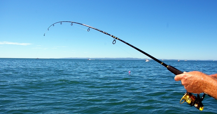 Рыбалка в Алании: от дорадо до акул