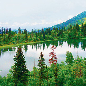 Türkiye May Allow 99-Year Tourist Leases in National Parks