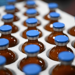 TRNC Delivers 10,000 FMD Vaccine Doses to Greek Cypriot Administration