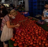 Turkey Inflation Drops to 31.1%, Rate Cut Expected