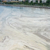 Expert: Northern Winds Behind Marmara Sea 20m Level Drop