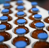 TRNC Delivers 10,000 FMD Vaccine Doses to Greek Cypriot Administration