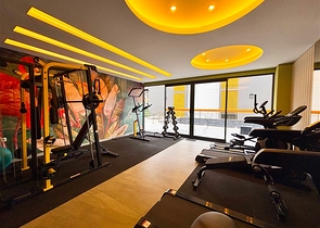 Apartment in a new investment project in Kestel district