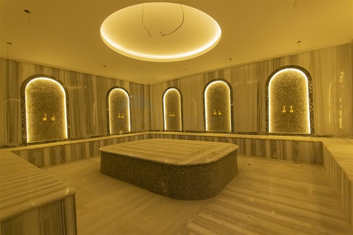 1+1 business class apartment in Demirtas district 