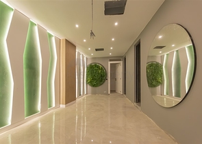 1+1 business class apartment in Demirtas district 