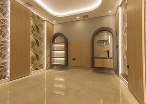 1+1 business class apartment in Demirtas district 