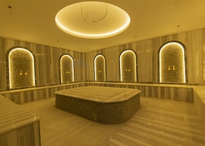 1+1 business class apartment in Demirtas district 