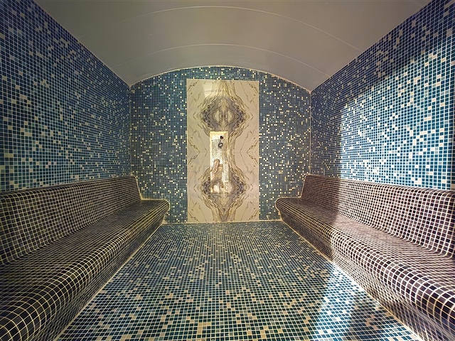 Luxury penthouse for citizenship