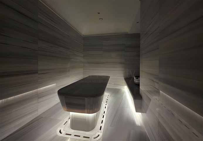 Luxury penthouse for citizenship