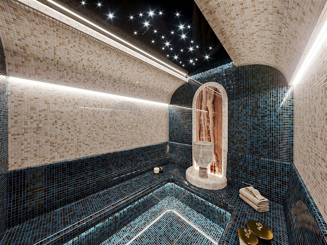 1+1 apartment with pine forest