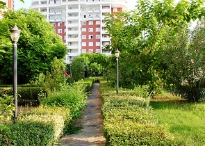 2+1 Apartments in Cikcilli