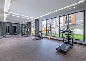 4+1 penthouse in Kestel district 