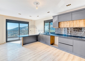 Sea view villas in the central area of Alanya