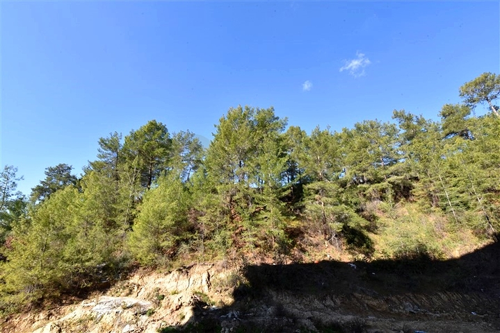 1+1 apartment in Avsallar district