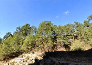 1+1 apartment in Avsallar district