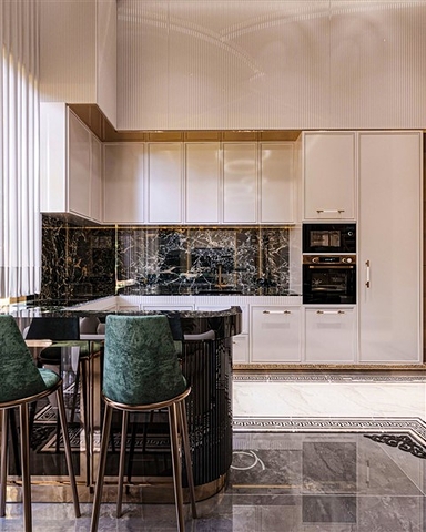 New premium class investment project 