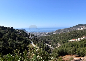 3+1 villa in the center of Alanya