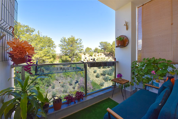 1+1 apartment for sale in Avsallar district