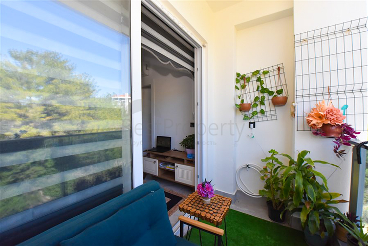 1+1 apartment for sale in Avsallar district