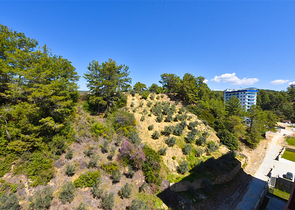 1+1 apartment for sale in Avsallar district