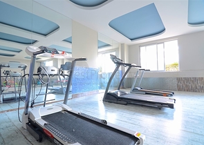 Spacious 3+1 penthouse in Kestel district