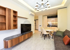 Apartment 1+1 in the city center