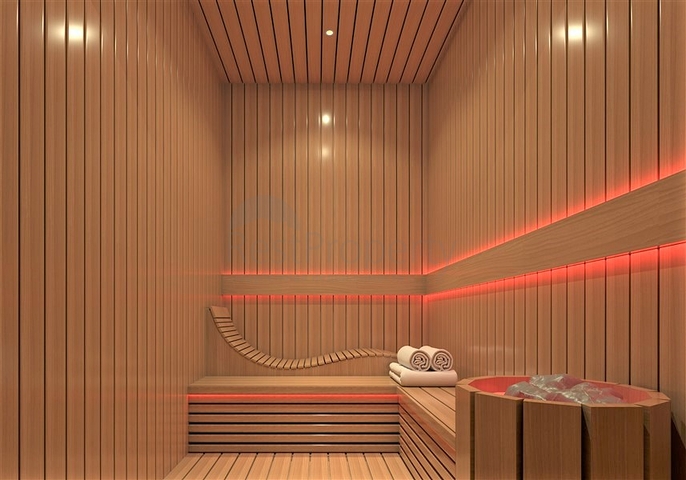 Investment project in Demirtas district