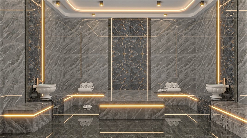 Investment project in Demirtas district