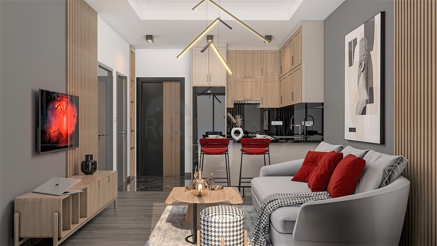 Investment project in Demirtas district