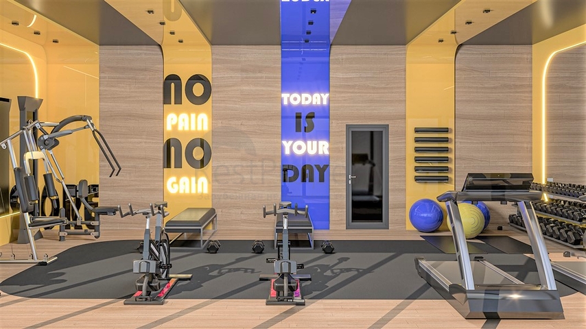 Investment project in Demirtas district