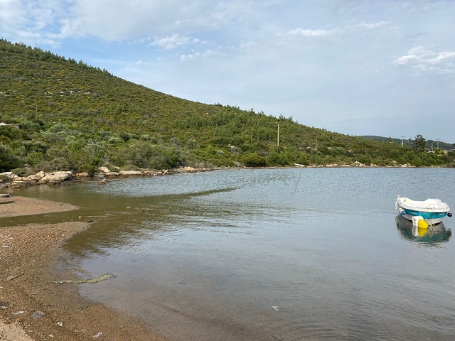 A unique residence from the owner with a sea view surrounded by forest