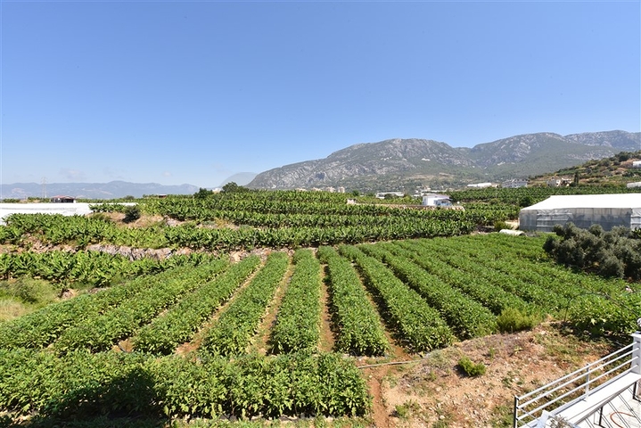 Furnished 1+1 apartment with sea and mountain views in Mahmutlar area