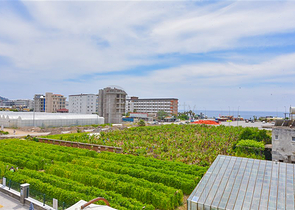 Furnished 1+1 apartment in a new complex in Kargicak district