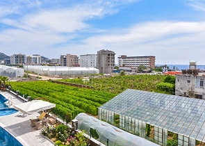 Luxury 1+1 apartment in Kargicak district