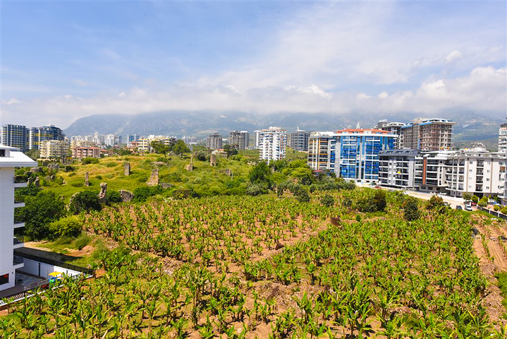 3+1 penthouse in Mahmutlar district