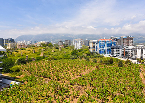 3+1 penthouse in Mahmutlar district