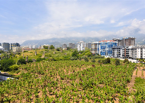 3+1 penthouse in Mahmutlar district