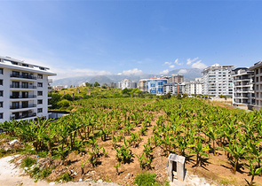 1+1 apartment in Mahmutlar;