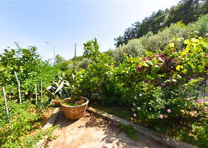 2+1 apartment in the historical place of Alanya