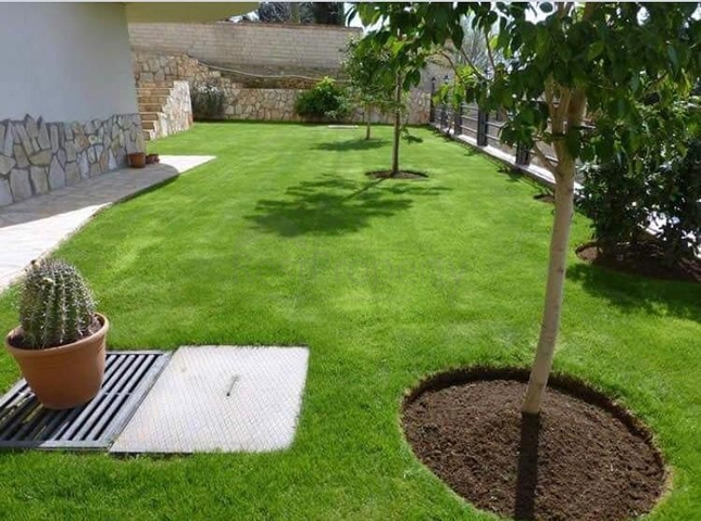 Spacious 3+1 apartment in Avsallar district