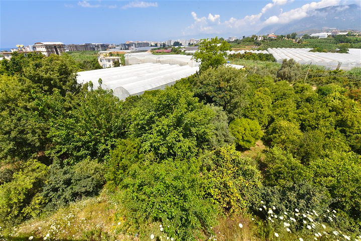 4+1 villa with modern design in the picturesque Kargicak area