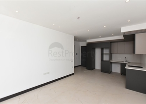 1+1 apartment in Oba district