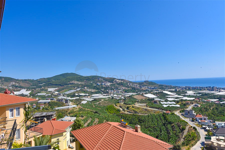 Designer renovated villa 5+1