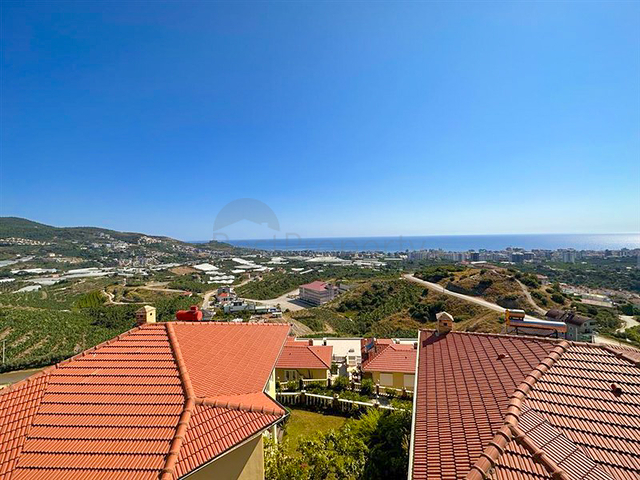 Designer renovated villa 5+1